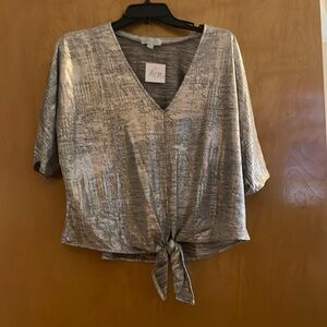 NWT silver dress top by Veronica M